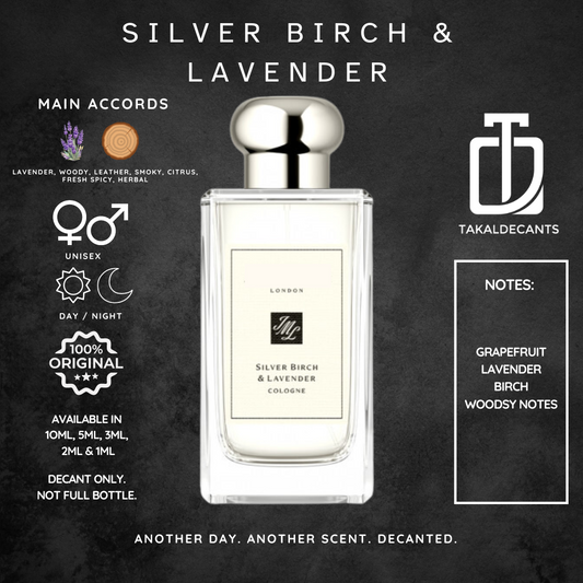 Silver Birch & Lavender